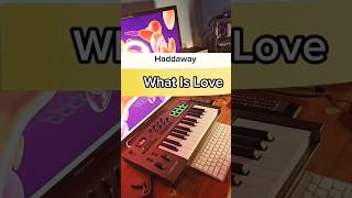 Haddaway  What Is Love  Live Looping  IMPACT LX25 STUDIO ONE PRO  piano haddaway pianomix [upl. by Yadnus]