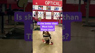 Service dog shopping dog cute pets funny [upl. by Naujid848]