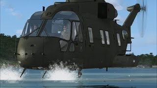 Flight Simulator 2014  EXTREME Low Fly By [upl. by Atiugal]