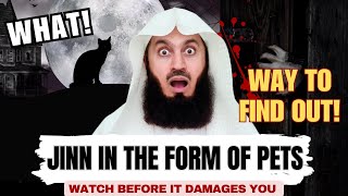 Can JINN be In The Form Of Cat  Mufti Menk [upl. by Ambert]