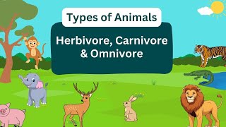 Types of Animals  Herbivores Carnivores and Omnivores animals [upl. by Eirual]