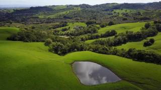 Tambor Vineyards Napa March 2017 [upl. by Shushan]