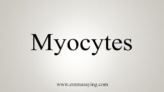 How To Say Myocytes [upl. by Seamus]