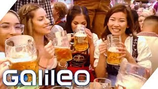 Oktoberfest  Wer hat am Meisten verdient  Galileo  ProSieben [upl. by Sumner607]