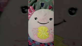 Squishmallow edit edit [upl. by Bolan]