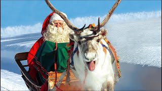 Babbo Natale in Lapponia 🦌🎅 Giri con le renne di Santa Claus e partenza della notte di Natale [upl. by Ydnelg495]