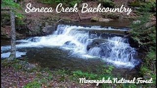 Spruce Knob  Seneca Creek Backcountry  Fall Backpacking  Part 1 [upl. by Xylina]