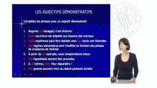 Les Adjectifs Démonstratifs   UPV [upl. by Forsyth740]