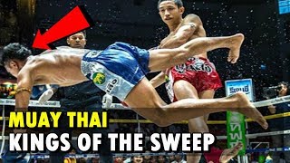 Kings of the Sweep Vol1  Muay Thai [upl. by Amoritta]