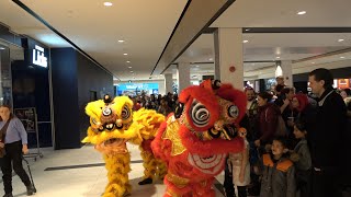 Quebec City Lion Dance Chinese New Year 2024 [upl. by Charis]