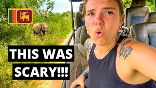 My SCARIEST safari experience in Udawalawe Sri Lanka 🇱🇰 [upl. by Ojaras]