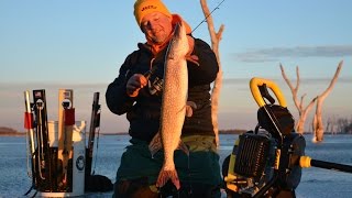 Ice Fishing Devils Lake Walleye and Pike [upl. by Timmons]