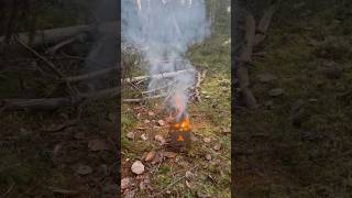 kleines gemütliches Feuer in Schweden outdoor bushcraft fire [upl. by Patnode]