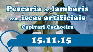 Pescaria de lambaris com iscas artificiais  Capivari Cachoeira [upl. by Eatnom]