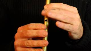 Tobins Favourite Jig  1 of 2  Tin Whistle Lesson [upl. by Moreen]