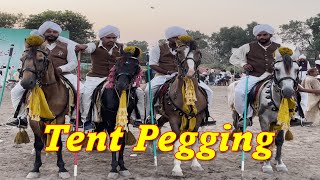 Neza Bazi Tent Pegging in University of Agriculture Faisalabad  Doctor Bhai Vlogs [upl. by Rogers98]