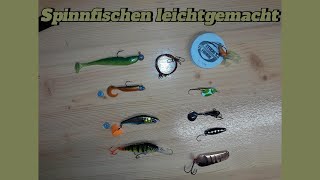 🎣 Spinnfischen Basics So funktionierts – Köder Köderführung und Vorfächer [upl. by Katherine]