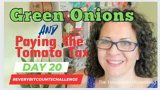 Preserving Green Onions amp Paying the Tomato Tax [upl. by Tower]