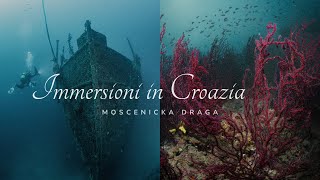 IMMERSIONI IN CROAZIA  MOSCENICKA DRAGA  Relitto vs Gorgonie [upl. by Boot]