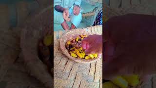 Pakistan Village Life VlogViral video 2024FaSt MunDa shorts vlog viral funny Episode120 [upl. by Eijneb]