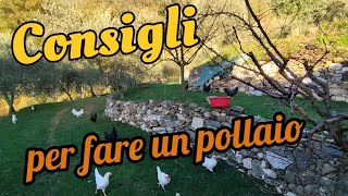 consigli per fare un pollaio [upl. by Suilienroc244]