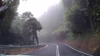 Coffs Harbour Dorrigo National Park to The Honey Place Urunga  NSW Driving  NSW Australia [upl. by Pasho]