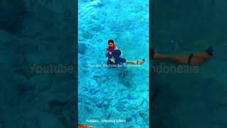 Swim with the Fish in Maratua Island Borneo Indonesia shorts [upl. by Penoyer]