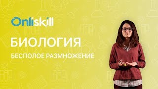 БИОЛОГИЯ 10 класс  Бесполое размножение  Видеоурок [upl. by Arodaeht]