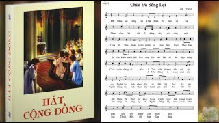 Thánh ca CHÚA ĐÃ SỐNG LẠI  Sáng tác Đỗ Vi Hạ  Thực hiện  Nguyễn Tuyết Mai [upl. by Nevins]