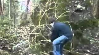 Video 2010 Abidales Pass Wagrainm4v [upl. by Phila]