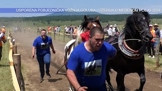 ZEKANOVIĆ UZORAO MEDENO POLJE I SLAVIO POBJEDU U LAKIM PAROVIMA [upl. by Mauretta]