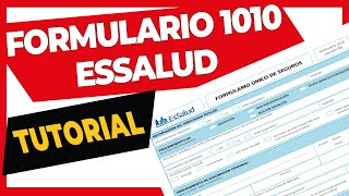 🚀 FORMULARIO 1010 EsSalud  Llenado fácil 📝 [upl. by Pero]