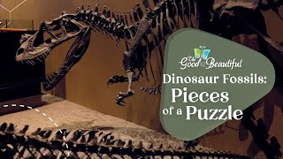 Dinosaur Fossils Pieces of a Puzzle  Paleontology  The Good and the Beautiful [upl. by Luna841]