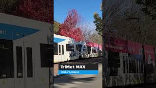 Trimet MAX Light Rail in Hillsboro Fall Colors [upl. by Allemahs]