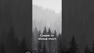 What happened to DB Cooper [upl. by Falda758]