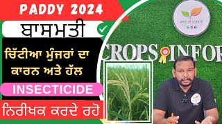 ਬਾਸਮਤੀ ਗੋਭ ਸੁੰਡੀ ਕੰਟਰੋਲ stem borer control in basmati rice [upl. by Iak]