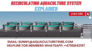 How does the RAS recirculating aquaculture system work [upl. by Howe]