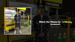 Lil Mosey  Where You Wanna Go Unreleased [upl. by Oicam]