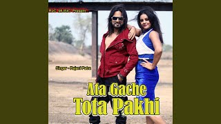 Ata Gache Tota Pakhi [upl. by Tullusus]