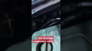 kia sportage evaporator valve automobile caracservice carac [upl. by Artimed]