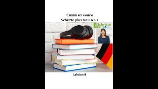 Слова из книги Schritte plus Neu A11 Lektion 6  словарный запас немецкого по лекциям [upl. by Eylhsa]