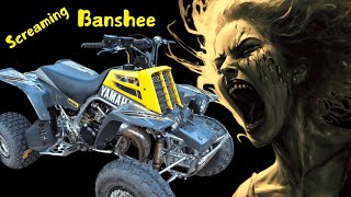 Banshee Build First Start First Ride [upl. by Skell534]