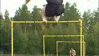 Stefan Holm Hurdles Training [upl. by Humfrid]