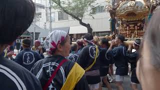 深川神明宮 例大祭 勇壮な水掛け祭 町内神輿渡御 20240818 e8 [upl. by Amihsat]