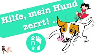 HILFE Mein Hund  zieht [upl. by Cleavland970]