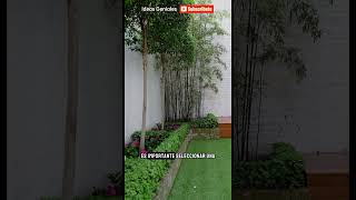 Como implementar una área verde en casa casa decoracion jardin ideas decorar jardines home [upl. by Savage]