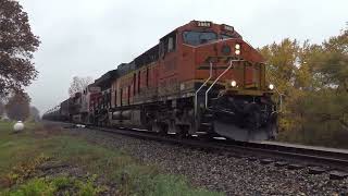 Porter Branch Action and Other Trains 2022 October 25th [upl. by Nehtan]