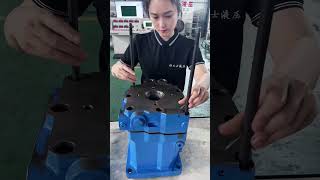 Hydraulic Pump Assembly [upl. by Suzy]