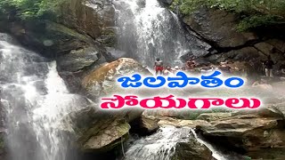 Sarugudu Waterfalls Attract Visitors at Vizag [upl. by Nevram]