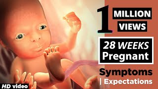 28 Weeks Pregnant Baby Position  Health Care Tips For Pregnant Women [upl. by Luz352]